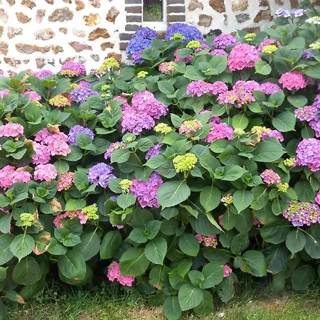Holiday home Du Bois Foucher *